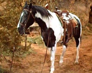 cochise.jpg