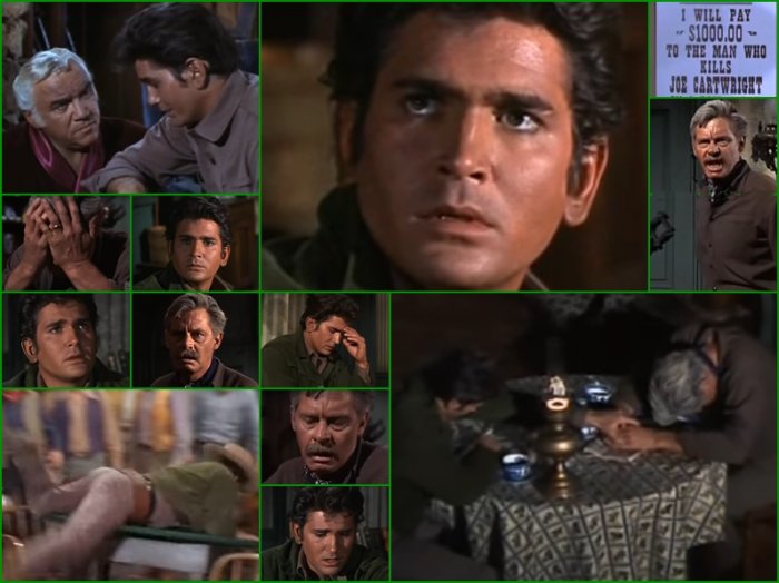 collage.jpg