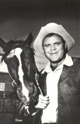 normal_Bonanza_promo_59.jpg