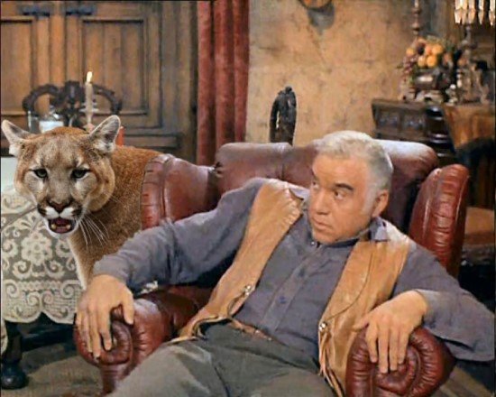 Ben Cougar.jpg