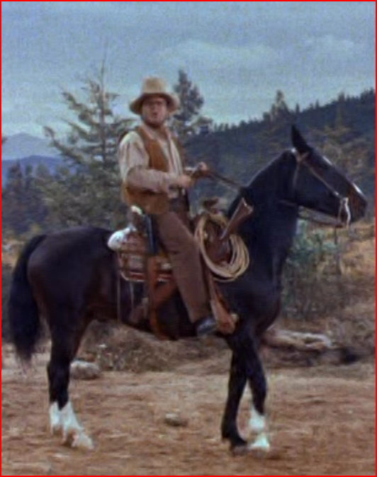 Hoss..png