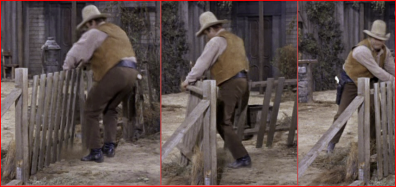 Hoss and the gate..png