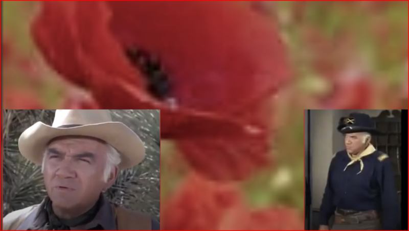 Ben.png