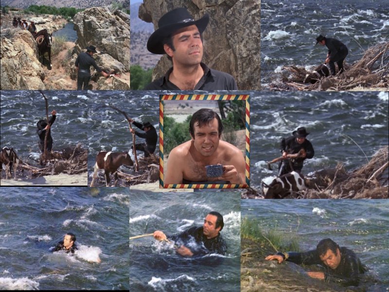 collage (2).jpg