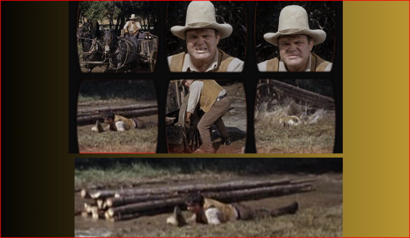 Hoss.png