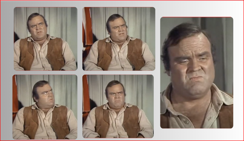 Hoss.png