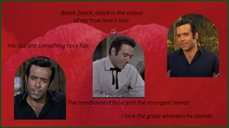 Black is the colour of my True's love hair.png