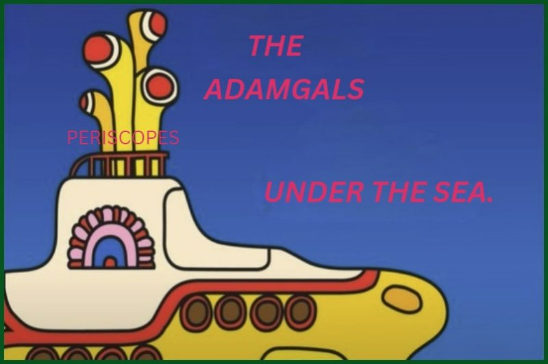 Adam-20th.jpg