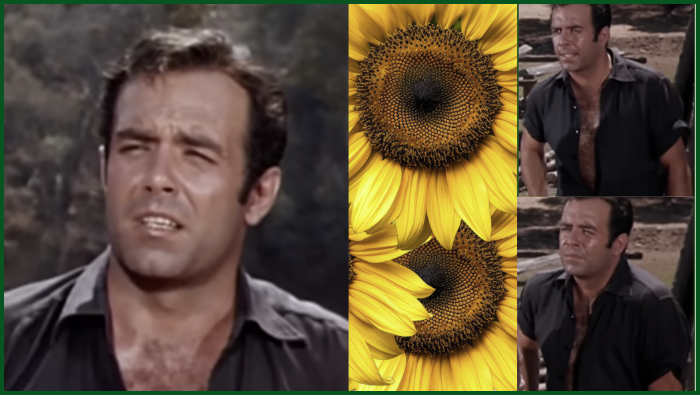 Springtime.mon png.png