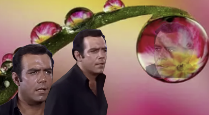 adam Friday png.png