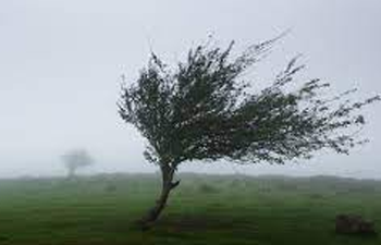 The Wicked Wind!