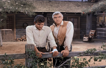 Little Joe Cartwright, Thief