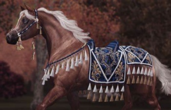 One Arabian Night