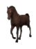 :horse1 :horse1
