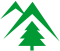 mountain pine :mountainpine