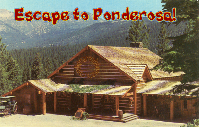 Escape to Ponderosa: Your Georgia Getaway Awaits!
